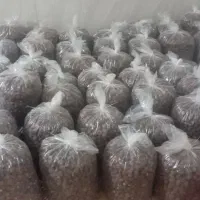 خرما برحی گوشتی