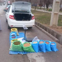 حبوبات  انواع لوبیا ماش عدس کنجد لپه برنج نیم دانه