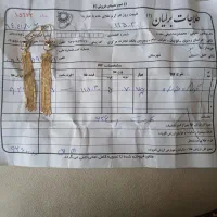 گوشواره شر شره ای ایتالیایی