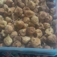 انجیرخشک امسالی نرم تازه شیرین خوشمزه رایگان