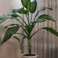 گلدان گل طبیعی