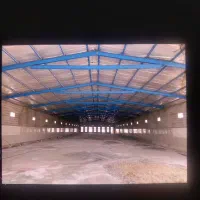 فروش مرغداری تخم گذار