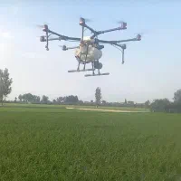 سم پاشی با پهباد