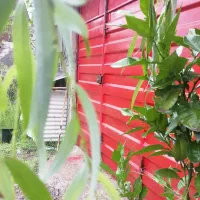 سوییت اپارتمان ۵۰۰متری|اجارهٔ کوتاه‌مدت آپارتمان و سوئیت|رشت, گیل|دیوار