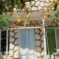 حیاط ویلایی در اسفهلان|فروش خانه و ویلا|خسروشاه, |دیوار