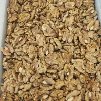 مغز گردو ایرانی