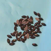 سنگهای چسبی برای لباس مجلسی