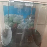 اکواریوم بزرگ