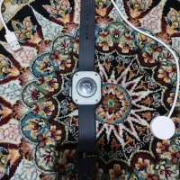 ساعت|ساعت|بندرعباس, |دیوار