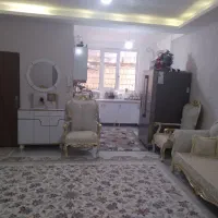فکوری11-شقایق-8