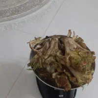 کنگر درجه یک