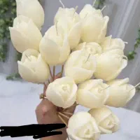 گل لاله