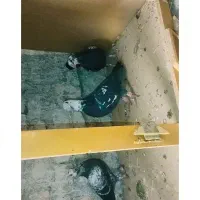 جفت جوجه سوسکی سیاه فروشی پدرشون نمایشی هست|پرنده|زاوه, |دیوار