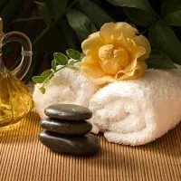 روغن های گیاهی وارگانیک جهت رفع گرفتگی واسپاسم