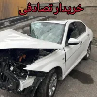 دنا معمولی تیپ۲.مشاور و خرید تصادفی