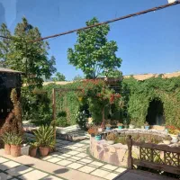 نیازمند سالندار آقا ظرفشور خانم