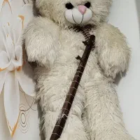 شاسخین یک متری