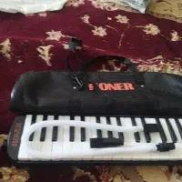 ملودی کا نونو|پیانو، کیبورد، آکاردئون|ایلام, |دیوار