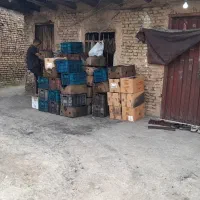 ذغال لیمو تولید کننده|عمدهفروشی|گرگان, |دیوار