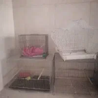 قفس  سهره