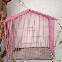 قفس پرنده