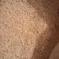 برنج نیمدانه هاشمی