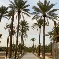 تور تفریحی کیش و قشم|تور و چارتر|شیراز, سیاه سنگ|دیوار