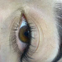 مژه|خدمات آرایشگری و زیبایی|پردیس, فاز ۱۱|دیوار