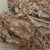 برگ زرد درجه یک