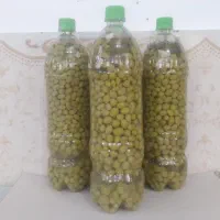 غوره شور (غوره عسکری)