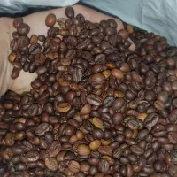 فروش دان قهوه و پودریجات