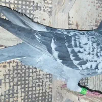 فروش پلاکی و دمبی و سینه ای