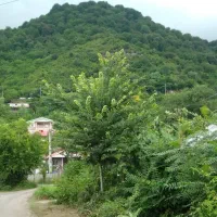 اجاره ویلا دربست بام سبز ماسال|اجارهٔ کوتاه‌مدت ویلا و باغ|ماسال, |دیوار