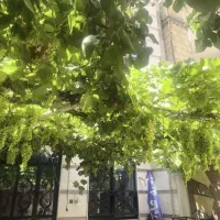 ۹۰متری/ اجاره/۴۵۰رهن|اجارهٔ آپارتمان|صباشهر, |دیوار