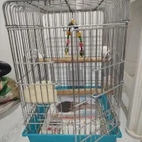 قفس دو عدد سالم محکم در حد کم استفاده