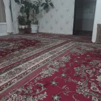 فرش ماشینی|فرش|قزوین, |دیوار