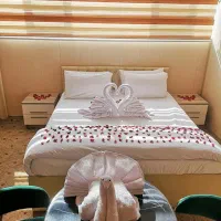 کربلا ۱۶ بهمن|تور و چارتر|آبیک, |دیوار