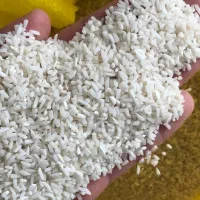 برنج سر لاشه عطری هاشمی