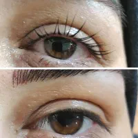 مدل رایگان لیفت ابرو|خدمات آرایشگری و زیبایی|قم, بکایی|دیوار