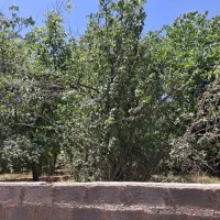 باغ نقلی ۲۶۰ متری خوش قواره سرآشیان کرمجگان|فروش زمین و ملک کلنگی|قم, مسکن مهر|دیوار