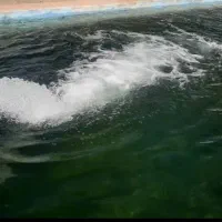 اجاره ۱۰ هکتار زمین کشاورزی آب شیرین هندوانه|اجارهٔ دفتر صنعتی، کشاورزی، تجاری|ایرانشهر, |دیوار