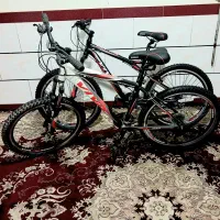 دوچرخه ویوا سناتور ۲۶