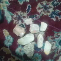 سنگ های تزئینی|کلکسیون و سرگرمی|کرمان, |دیوار