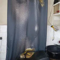 پرده پانچی هازان قابل شستشو درحدنو|پرده، رانر، رومیزی|میاندوآب, |دیوار