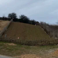 زمینی ۱۳۰۰ متری  واقع مازندران روستای محمداباد