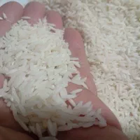 برنج  ارگانیک صددرصد خالص
