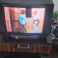 تلویزیون