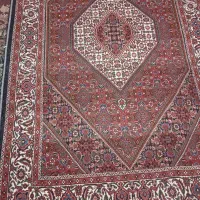 فرش دستبافت قالیچه|فرش|زنجان, |دیوار