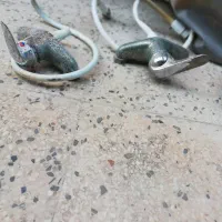 شیرآلات، توالت فرنگی،روشویی|لوازم سرویس بهداشتی|بوشهر, |دیوار