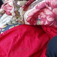 شاگرد ساده